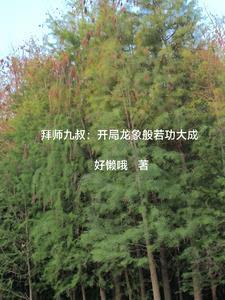 佞臣凌霄车